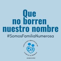Asociación Provincial Familias Numerosas de Tomelloso